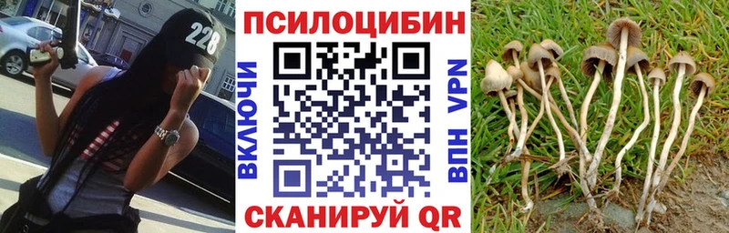 ссылка на мегу как войти  Ишим  Галлюциногенные грибы GOLDEN TEACHER 